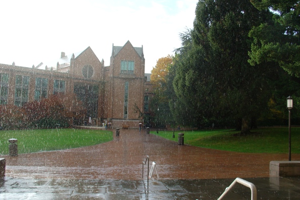 The long walk on slippery bricks to the Allen Library at the University of Washington